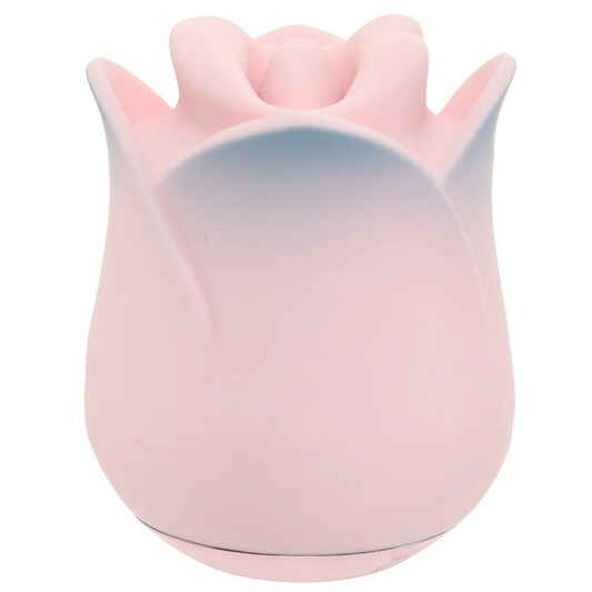 Blush Kissing Rose Vibe