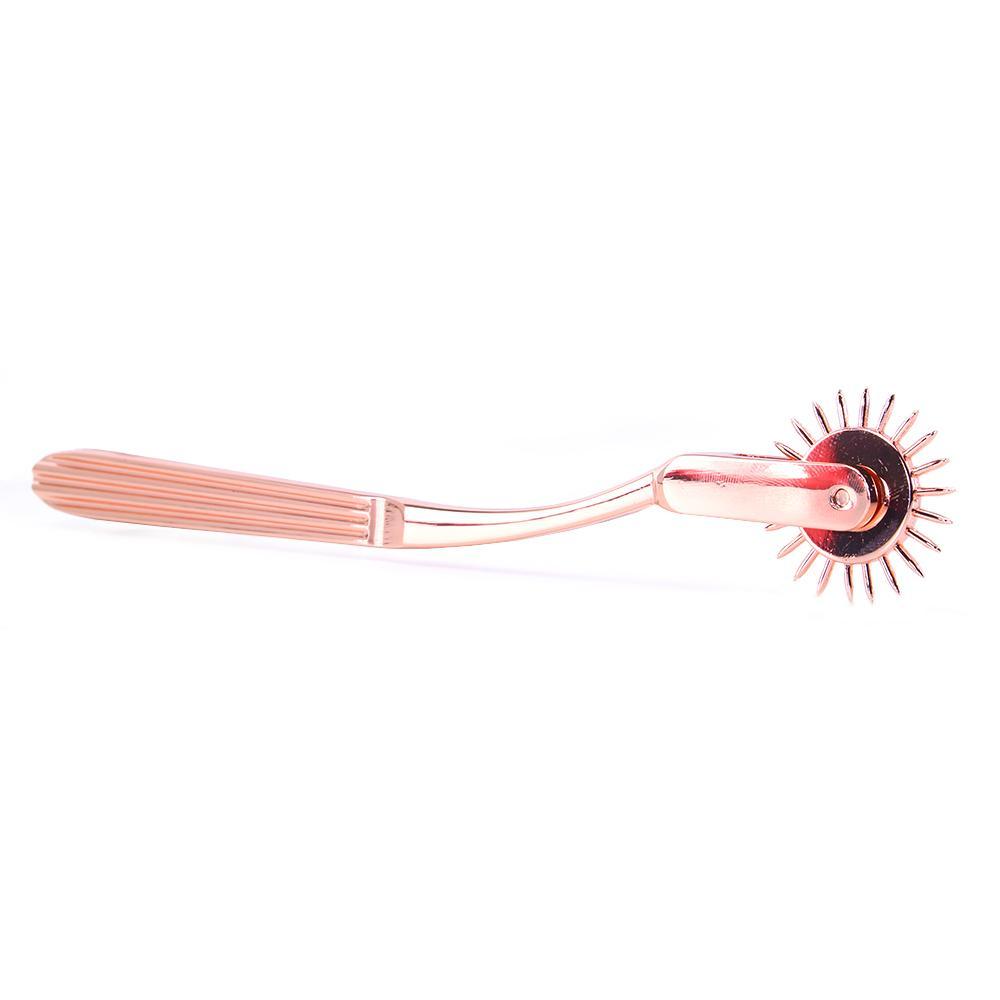 Entice Passion Wheel - Sex Toys Vancouver Same Day Delivery